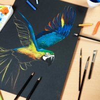 Clairefontaine PAIN ON  /Noir