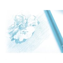 Clairefontaine  Dessin a grain / A4- 30ks